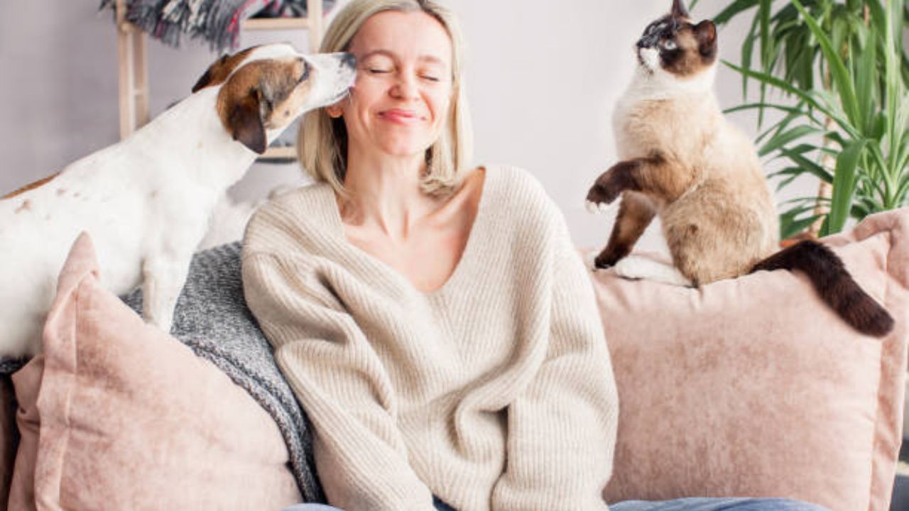 O que é necessário ter em casa para quem tem pets?